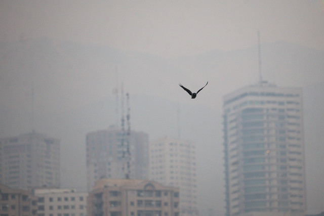 2 روز پس از روز ملی هوای پاک، هوای تهران ناسالم